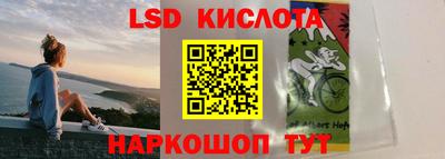 прущие грибы Ипатово
