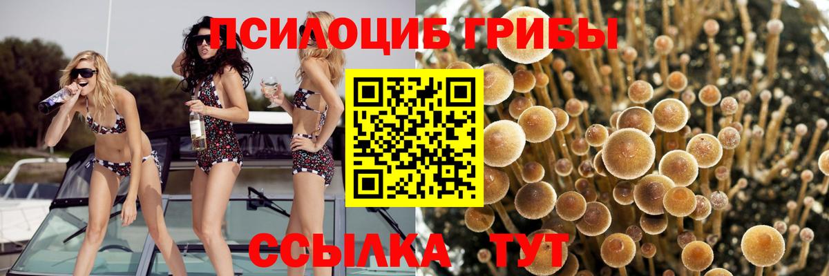 Псилоцибиновые грибы мухоморы Миасс